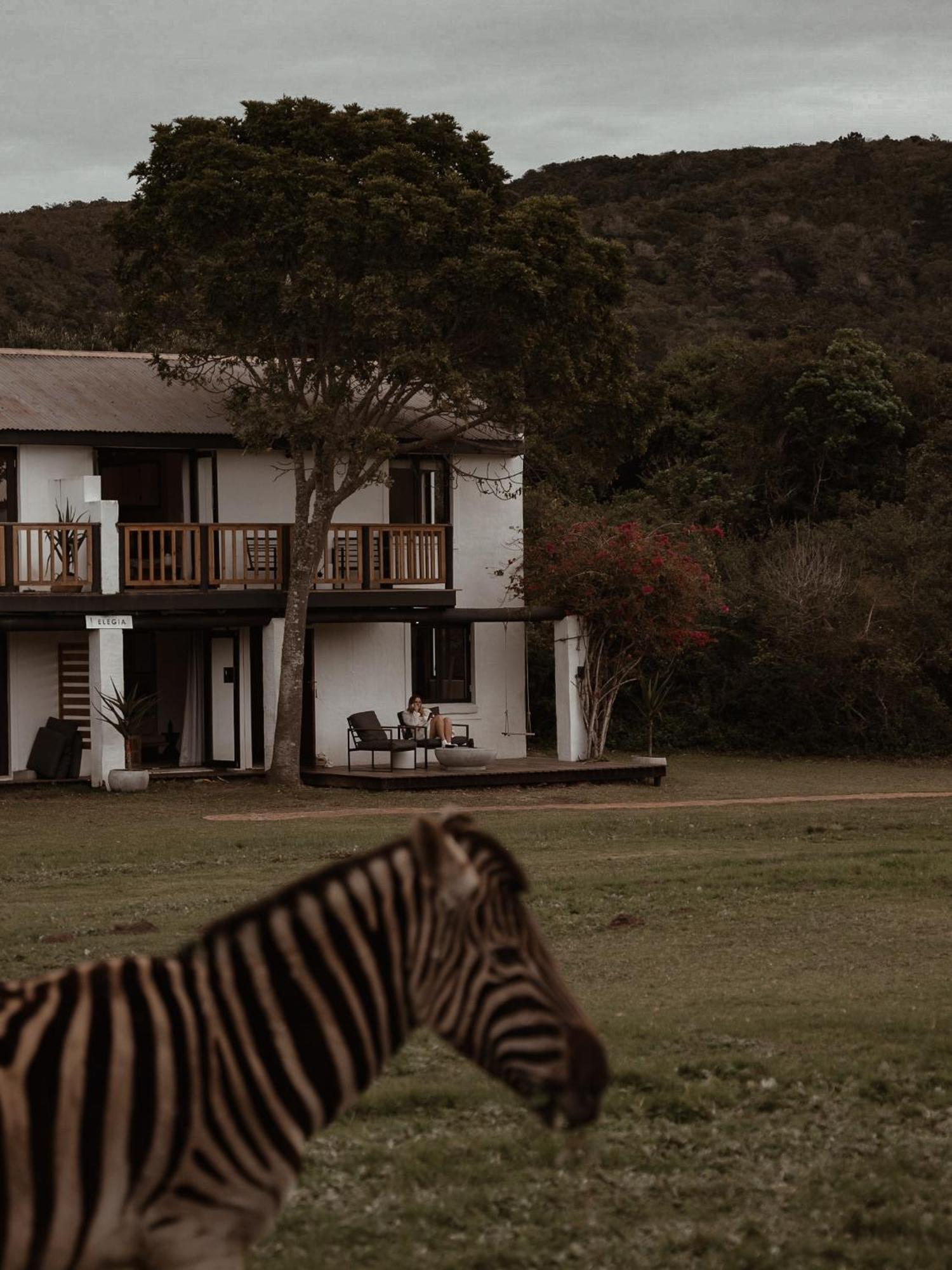 Stanley Island Villa Plettenberg Bay Kültér fotó
