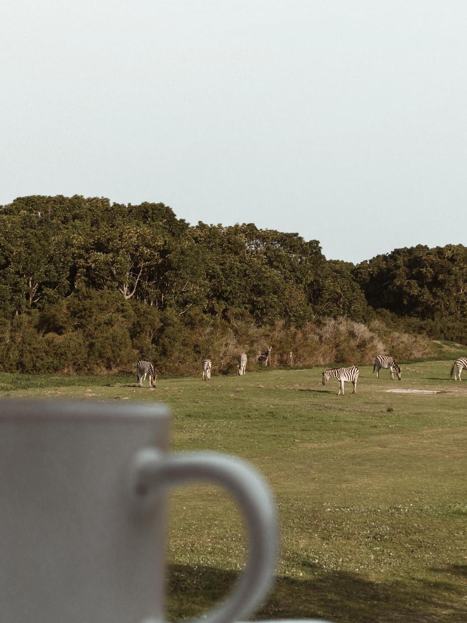 Stanley Island Villa Plettenberg Bay Kültér fotó